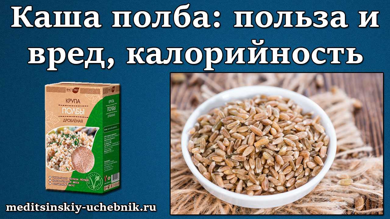 Полба: что это за крупа, как готовить, польза и вред